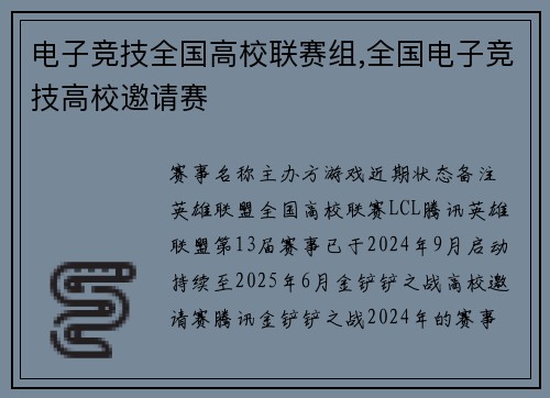 电子竞技全国高校联赛组,全国电子竞技高校邀请赛